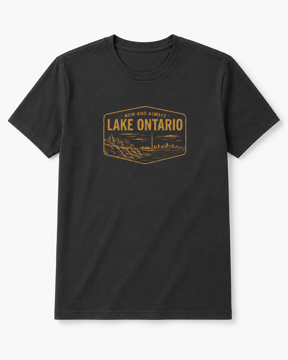 Lake Ontario 193k